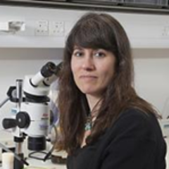 Professor Andrea Brand