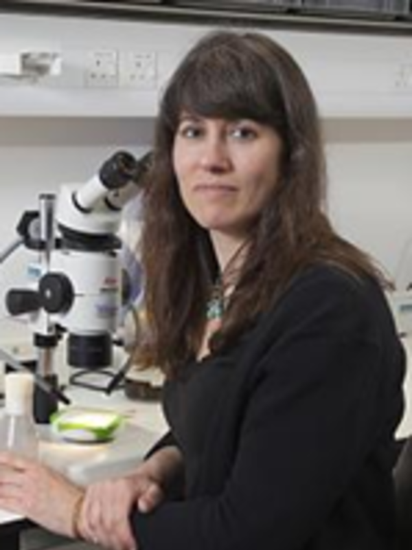 Professor Andrea Brand